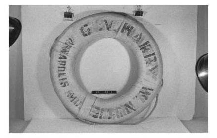 CBMM catalog image